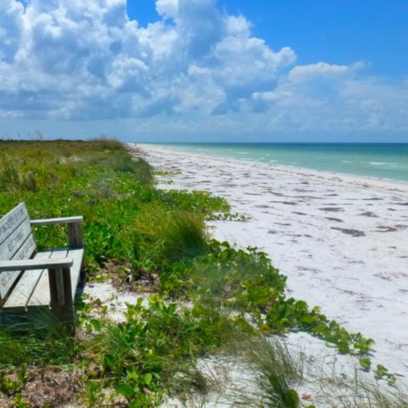 Cici’s Closet***Bookmark to Save! - Picture 3 of 7